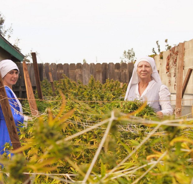 As freiras Kate e Darcy na plantação de maconha que cultivam no quintal de casa (Foto: Reprodução Instagram)