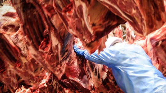 Onze frigoríficos do Brasil recebem aval para exportar carne bovina à Indonésia