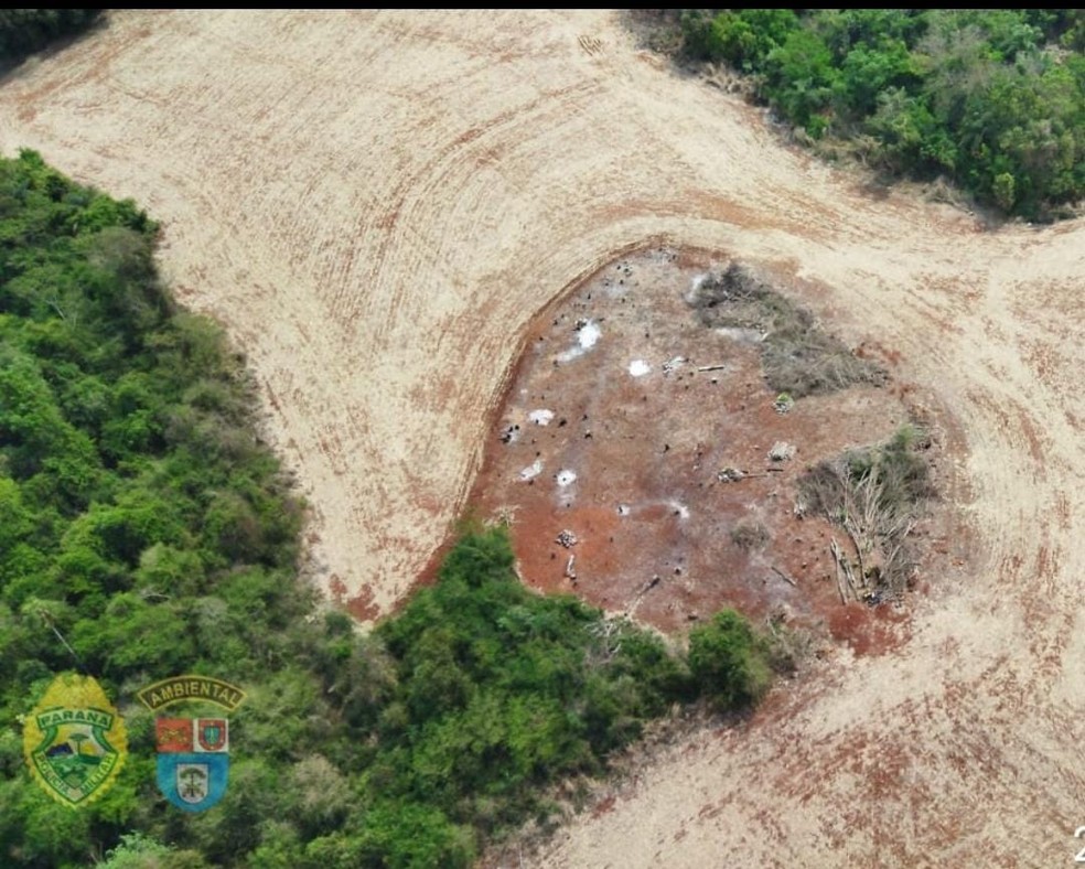 Fiscalização aérea flagrou desmatamento — Foto: Polícia Ambiental