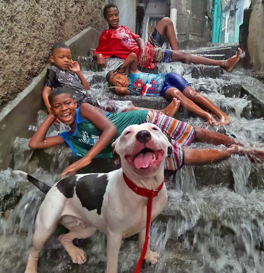 Crianças na chuva e cachorro sorrindo no Turano, na Zona Norte do Rio — Foto: Carla Vieira (Arquivo pessoal)