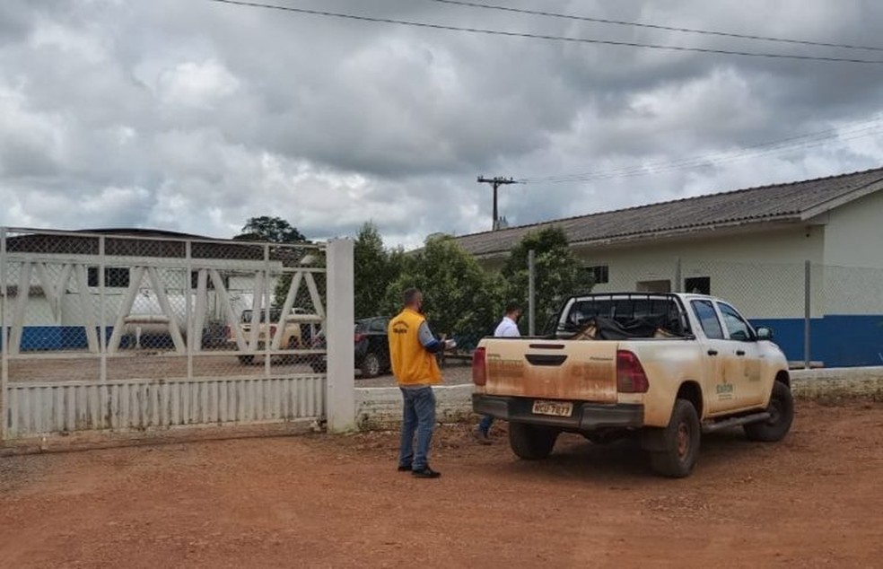 Agentes da Idaron apreendem carga de queijo em laticínio de Candeias — Foto: Reprodução