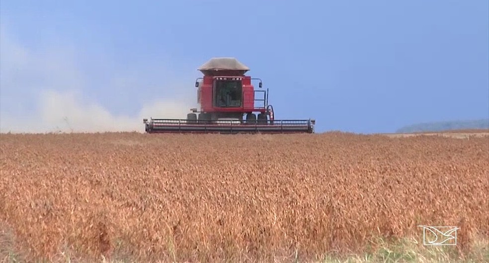 Mais de 650 mil hectares de soja devem ser colhidos até abril no Maranhão — Foto: Reprodução/TV Mirante
