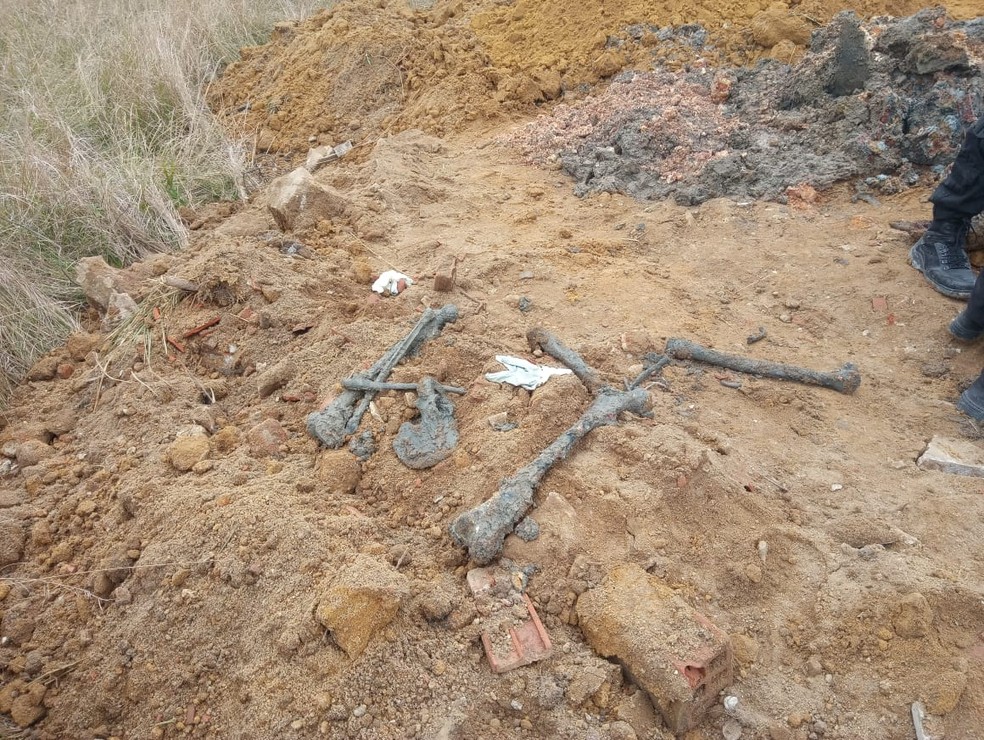 PolÃ­cia e MP-RJ encontraram quatro ossadas no local, uma Ã¡rea de mata no Parque Sarandi, em Queimados â Foto: ReproduÃ§Ã£o/Arquivo Pessoal