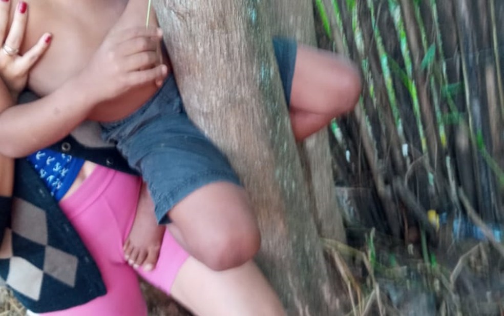 Criança de cinco anos fica presa em árvore em Itajubá, MG — Foto: Corpo de Bombeiros