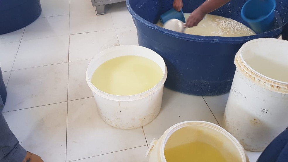 Produção clandestina de queijo em São José do Divino-PI não seguia normas de higiene — Foto: Divulgação/Procon-PI