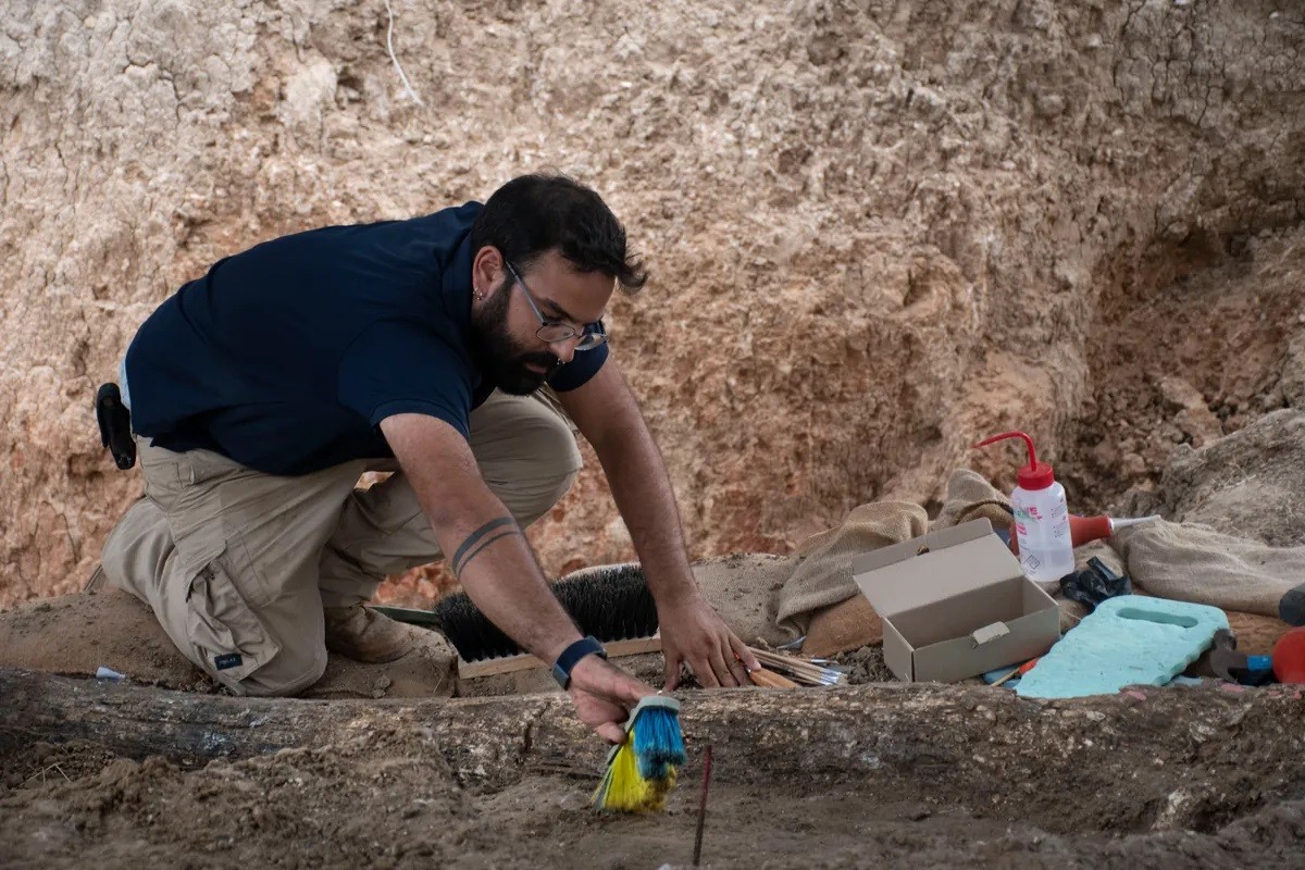 Arqueólogo analisa presa de elefante pre-histórico  (Foto: Israel Antiquities Authority)