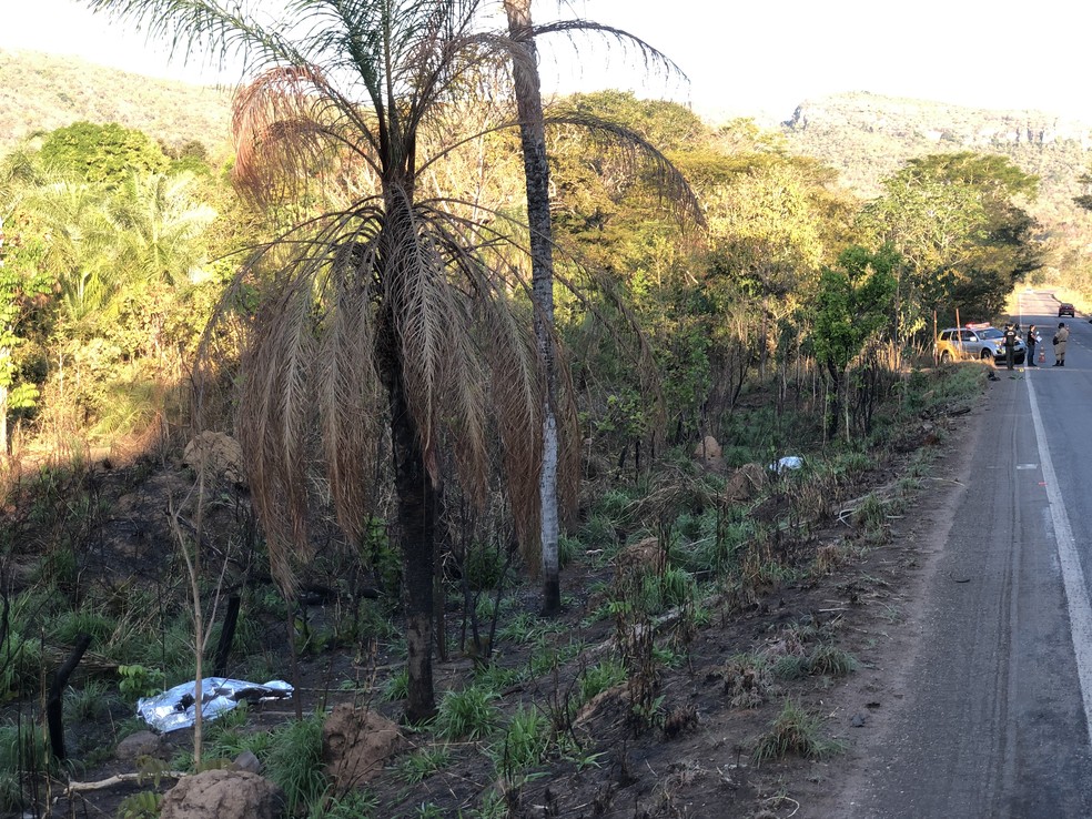Ciclistas morreram atropleados na TO-010 próximo a Palmas — Foto: Wilton Dias/TV Anhanguera