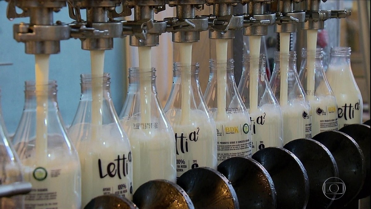 Pecuaristas brasileiros investem no leite A2, produto que pode ser mais fácil de digerir thumbnail