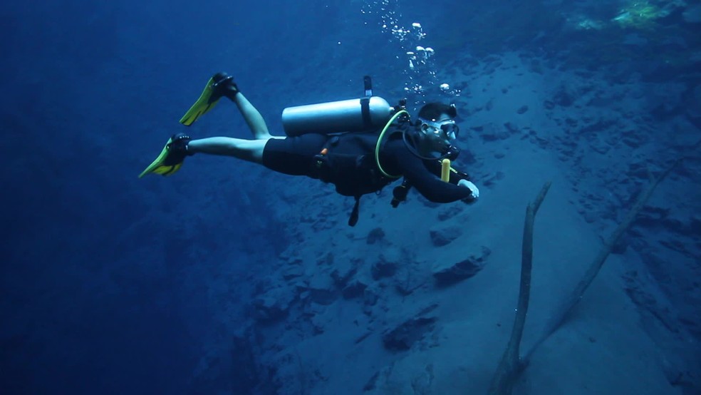 Mergulhador procurando manchas de óleo do fundo do mar de Tamandaré, no dia 24 de outubro de 2019 — Foto: Reprodução/TV Globo