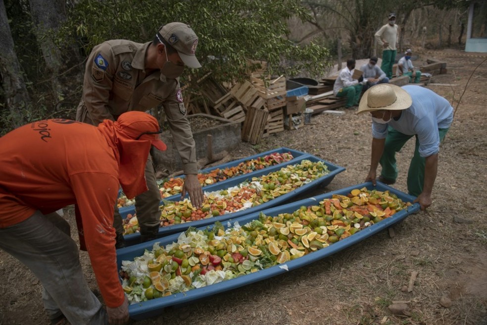 Presos preparam frutas para animais no Pantanal — Foto: Mauro Pimentel/ AFP