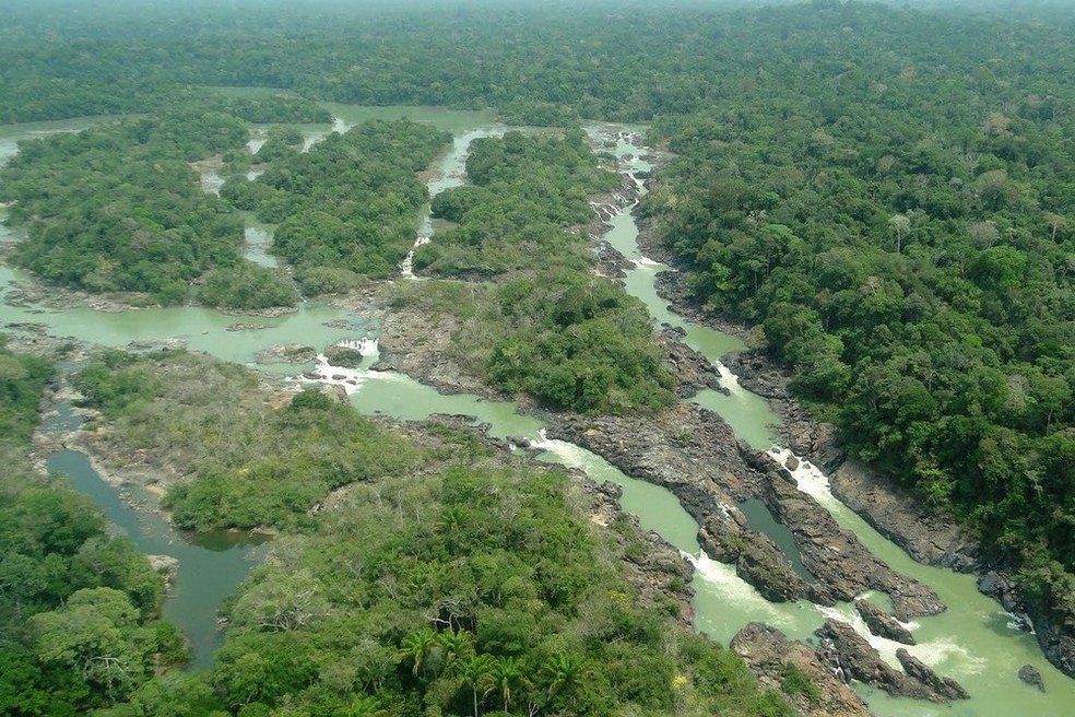Floresta Nacional do Jamanxim, no Pará — Foto: Divulgação / Governo do Pará