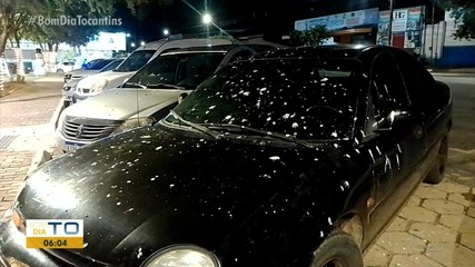 Ruas e carros ficam cobertos de fezes de pássaros no centro de Gurupi