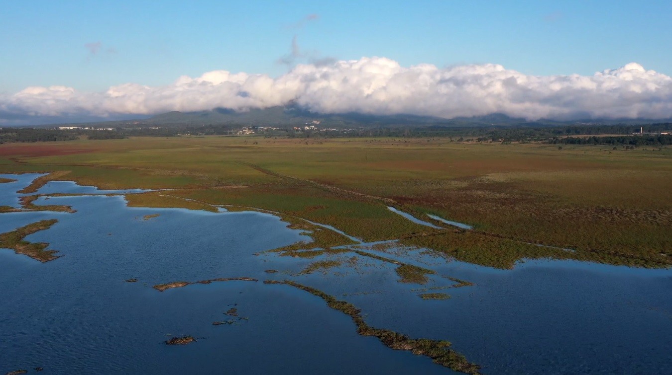 Estado de seca atinge 68% do território do Paraná, diz Sanepar