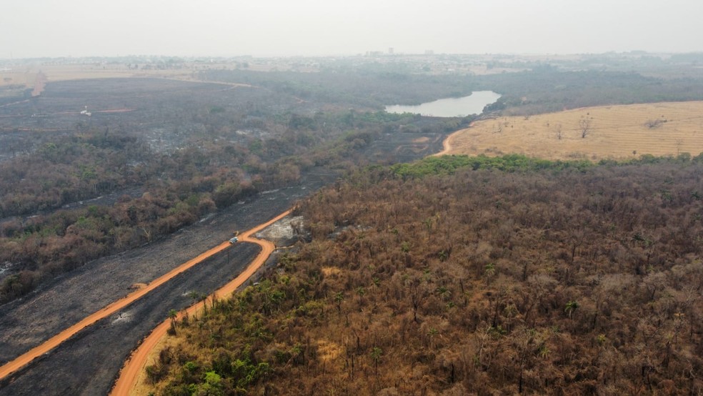 Imagens aéreas mostram dimensão de área do antigo IPA atingida por queimada em Rio Preto (SP) — Foto: Polícia Militar Ambiental/Divulgação