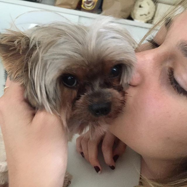 Sasha Meneghel beija cãozinho em clique postado por Xuxa: 