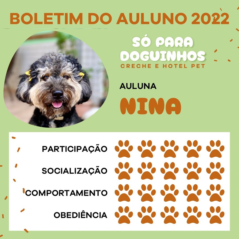 Boletim dos animais de uma creche para pets em Porto Velho — Foto: Reprodução/Redes Sociais