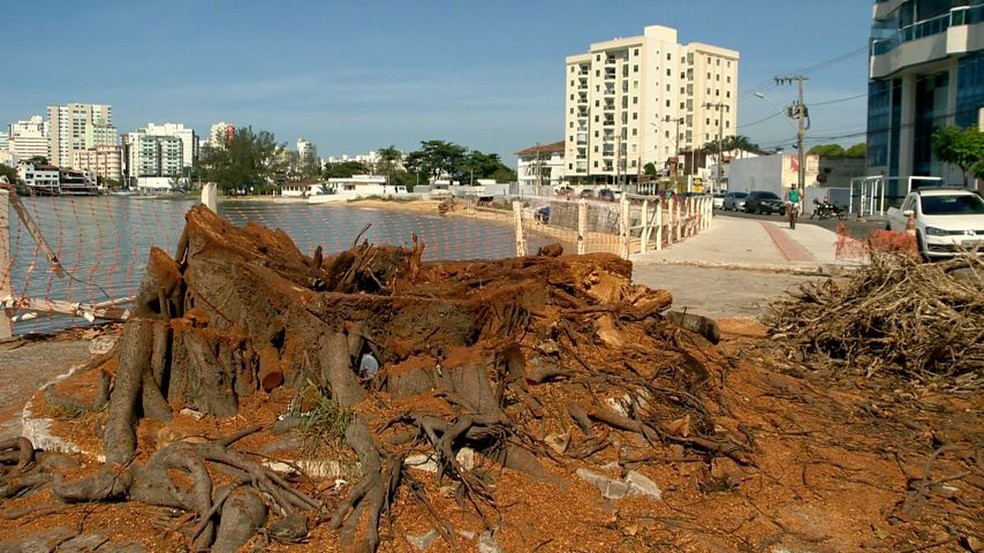 Com a retirada das árvores, praia perdeu as sombras — Foto: Reprodução/ TV Gazeta