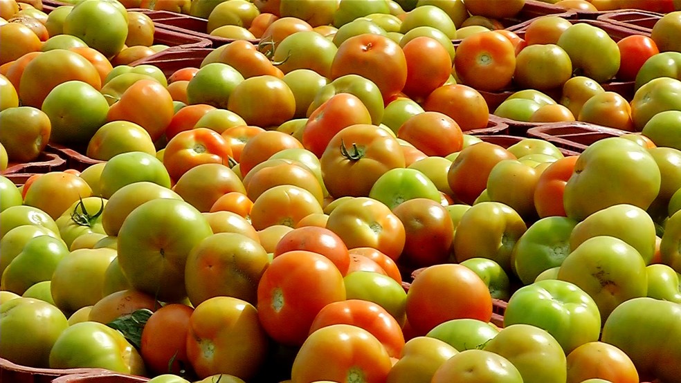 Quilo do tomate custa R$ 1,20 em Rolim de Moura e R$ 1,90 em Cacoal (Foto: Reprodução/TV TEM)