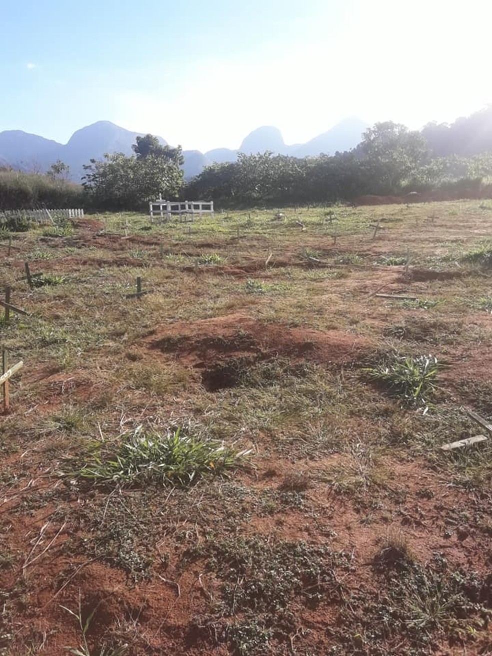 Segundo a artista plÃ¡stica, cemitÃ©rio Ã© precÃ¡rio e oferece riscos a quem visita o local â Foto: Arquivo pessoal/FlÃ¡via Paonessa