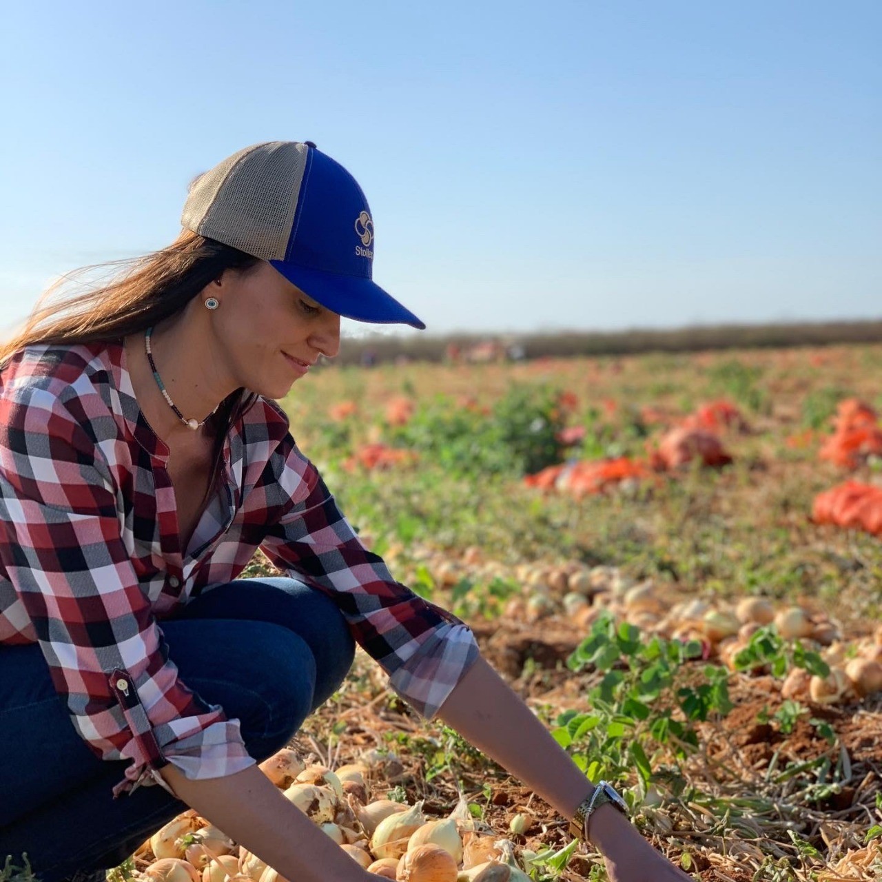 Vanessa Sabioni, engenheira agrônoma e mestre em fitopatologia pela Universidade Federal de Viçosa (UFV); Na foto, ela veste camisa xadrez, calça jeans, boné azul e está colhendo cebolas (Foto:  )