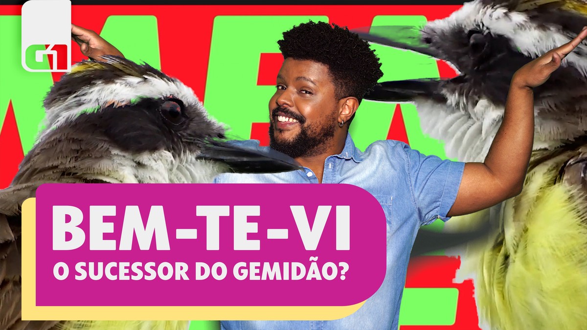 Canto do bem-te-vi takes over the internet. What outbreak was this?