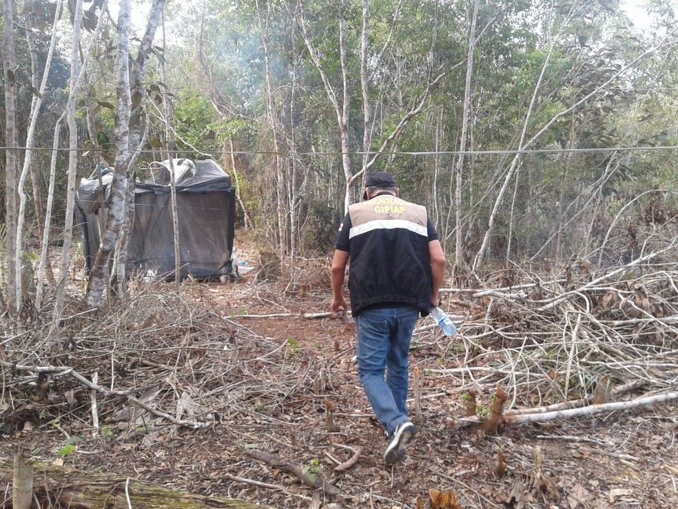Ação da Semmas em área de ocupação irregular — Foto: Divulgação/Semmas