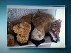 Operação Flintstones da PF apreende fósseis e artefatos de caverna  em SP