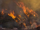 Nos EUA, 17 mil bombeiros combatem incêndios florestais em 10 estados