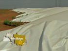Em MT, silos-bolsa são cada vez mais usados para estoque de milho