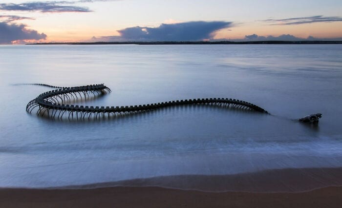 Escultura de um esqueleto de serpente na costa francesa, representando os restos mortais dos dragões mitológicos da China (Foto: Mathieu PIERRE / Flickr)