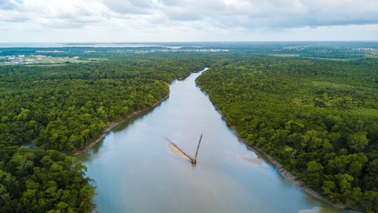 Fundo Amazônia: como funciona o instrumento que vai financiar ações emergenciais para Terra Yanomami