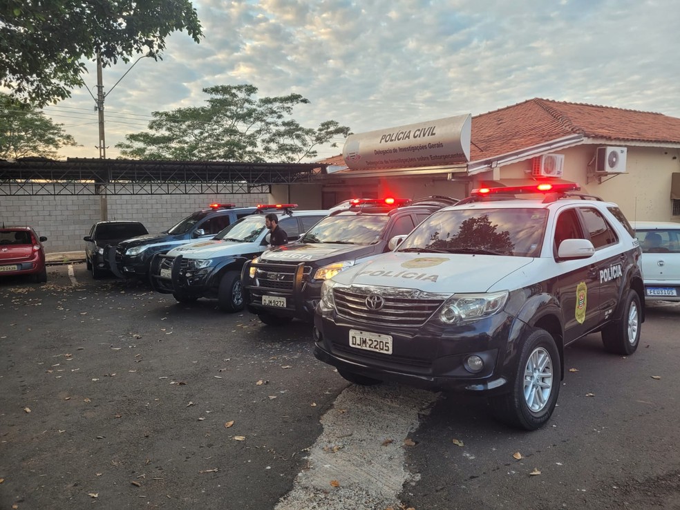 Operação foi realizada nesta segunda-feira (2), em Ouro Verde (SP) — Foto: Polícia Civil