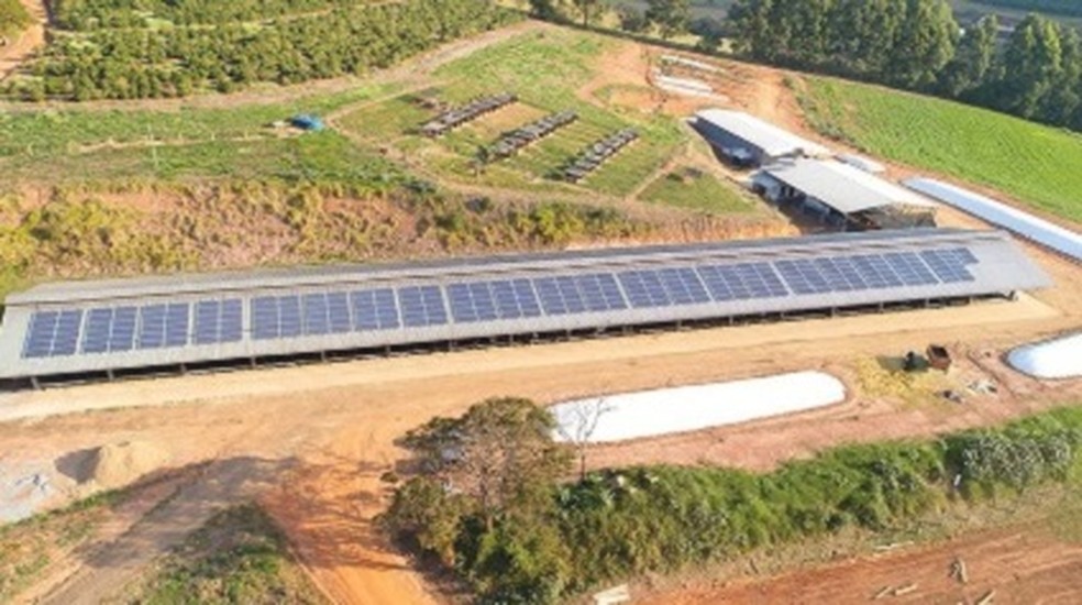 Energia solar no campo: tecnologia traz vantagens competitivas para o setor  do agronegócio | Sustentabilidade e Economia | G1