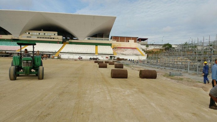 Luso Brasileiro Arena da Ilha (Foto: Divulgação/Greenleaf)