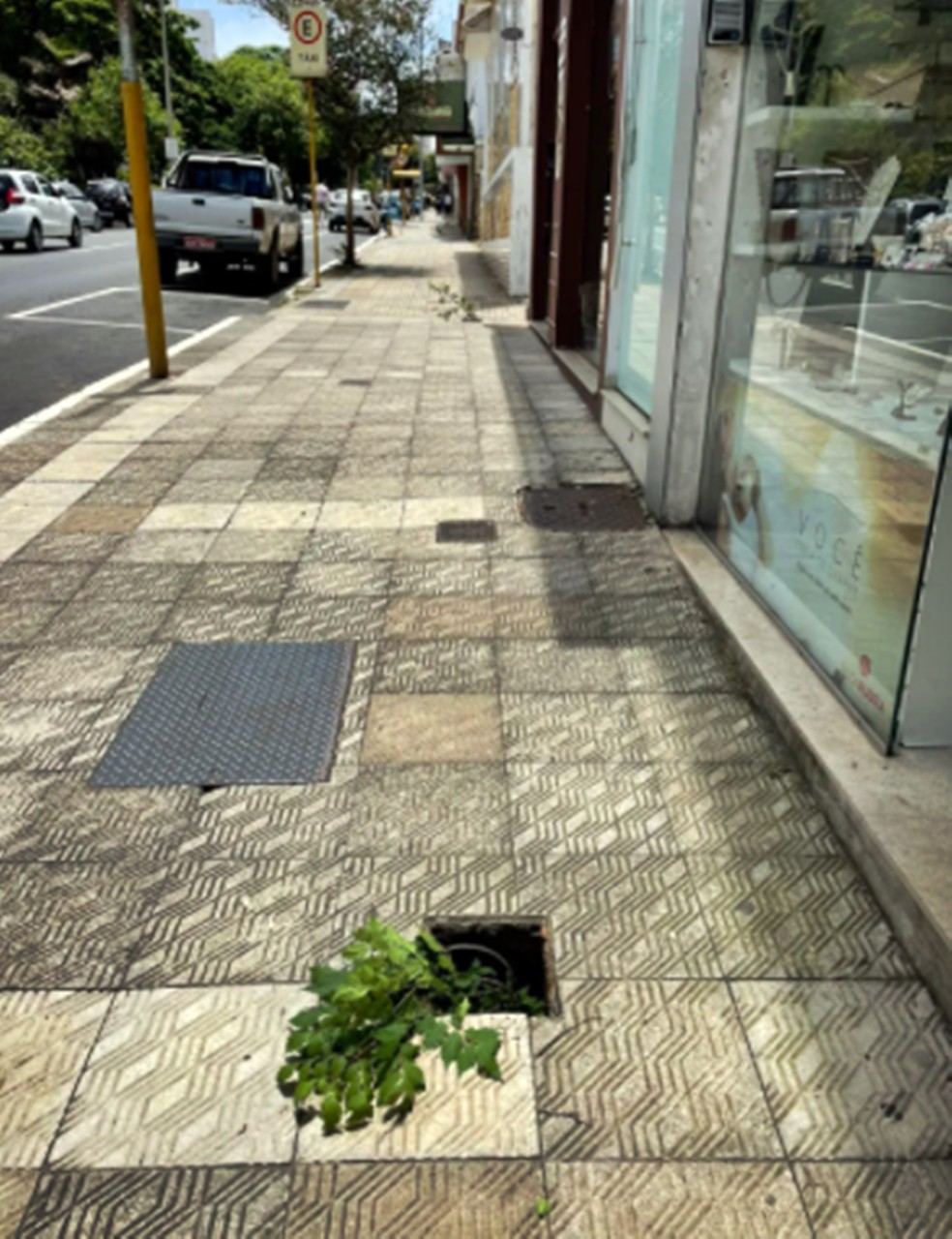 Moradores colocaram galhos de árvores nos pontos com buracos ao longo da avenida.  — Foto: Foto cedida Blog do Madeira