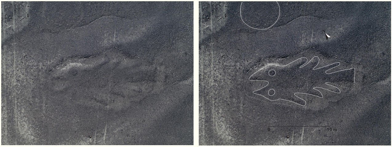 Um peixe observado sem a utilização de inteligência artificial ​​(esquerda) e com (direita) (Foto: Yamagata University/IBM)