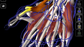 essential anatomy 3 for pc