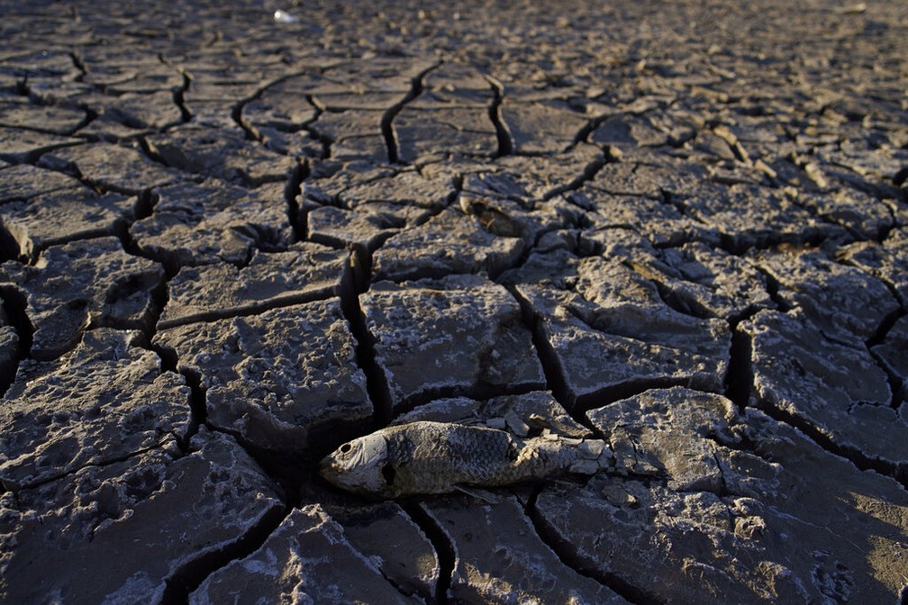 Fundo de lago de Las Vegas durante seca — Foto: John Locher/AP