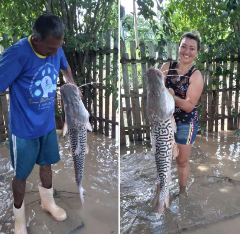 Gessiane e o pai acharam um peixe de 12 quilos no quintal de casa — Foto: Arquivo pessoal