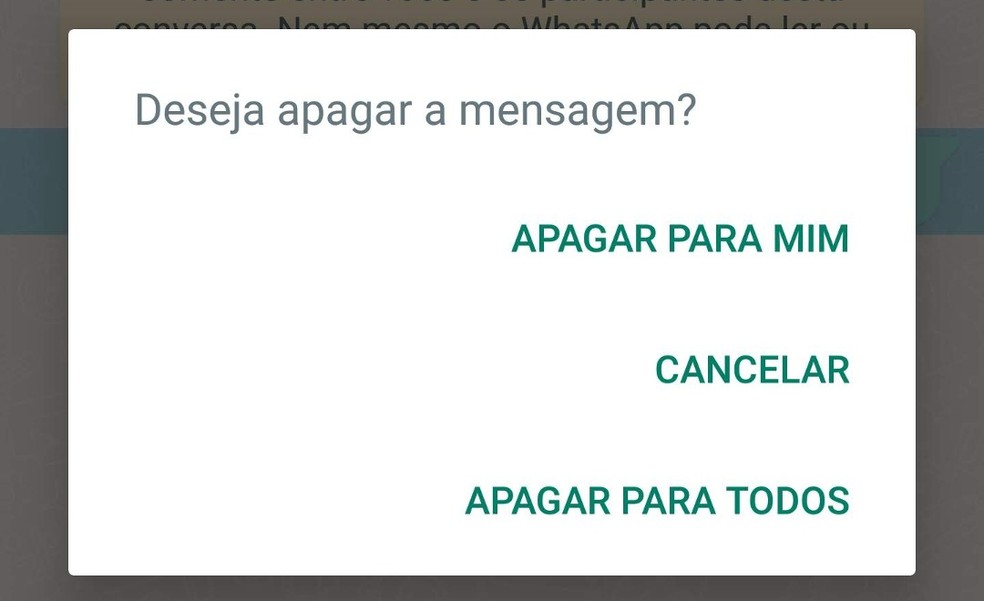 Recurso 'Apagar para todos' no WhatsApp — Foto: Reprodução/WhatsApp