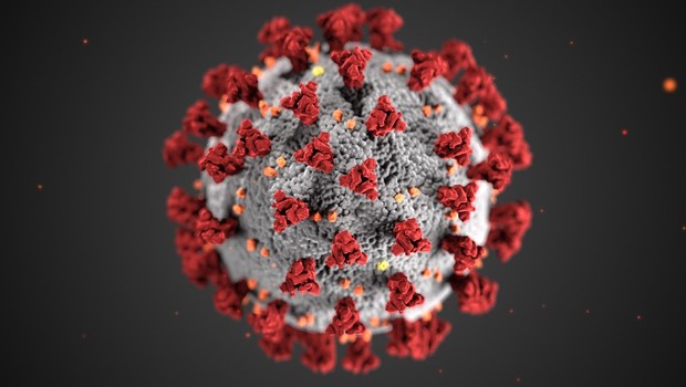 omicron, subvariantes, covid, coronavirus (Foto: Pexels)