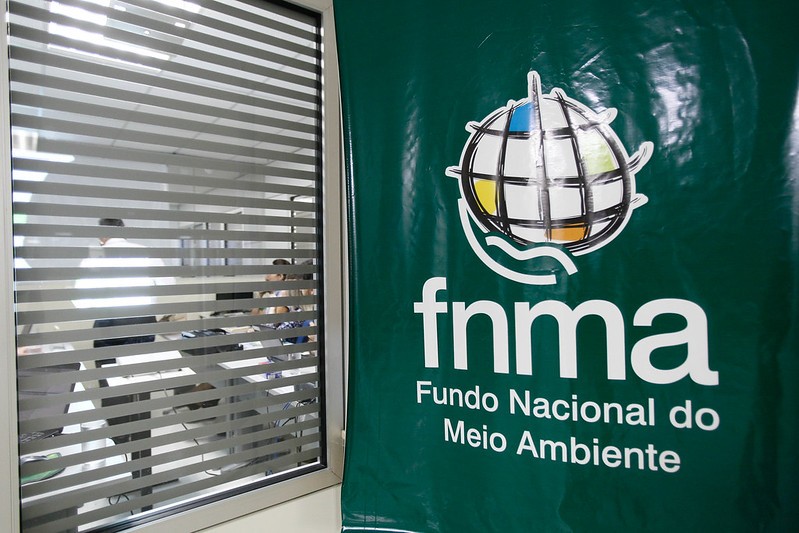 Bolsonaro exclui participação da sociedade civil de conselho do Fundo Nacional do Meio Ambiente thumbnail