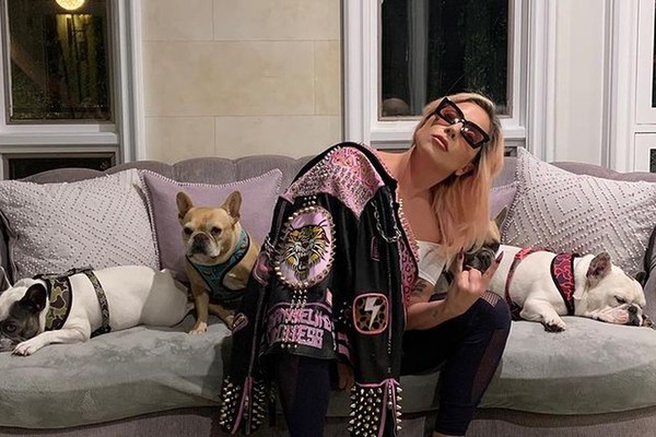 Lady Gaga e seus três cachorros (Foto: Reprodução / Instagram)