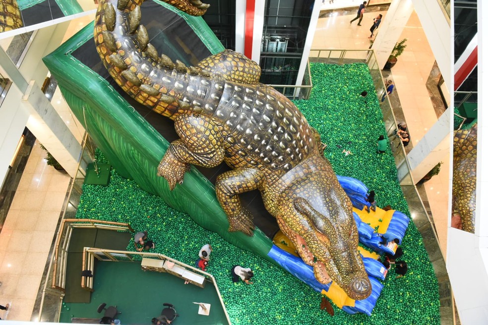 Magic Croco no Taguatinga Shopping — Foto: Foto: divulgação