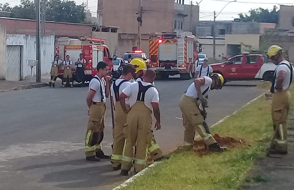 Bombeiros cavaram um buraco para enterrar a granada, antes do artefato ser detonado pelo esquadrão antibombas do DF — Foto: Corpo de Bombeiros do DF/ Divulgação