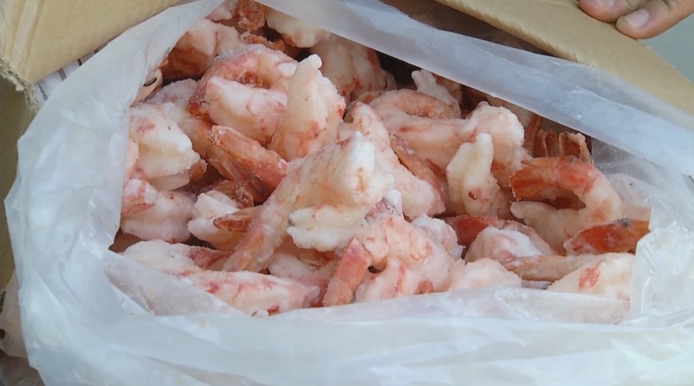 Motorista irá responder por contrabando e uso de documentos falsos (Foto: Reprodução/TV Tem)