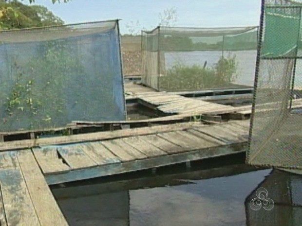 Tanque rede está abandonado e cheio de mato (Foto: TV Rondônia/Reprodução)