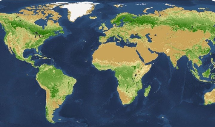 Mapa elaborado pelos pesquisadores mostra a distribuição exata da vegetação pelo planeta (Foto: Reprodução)