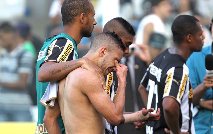 Jogadores do Botafogo contra o Santos (Foto: Michel Filho / Agência o Globo)