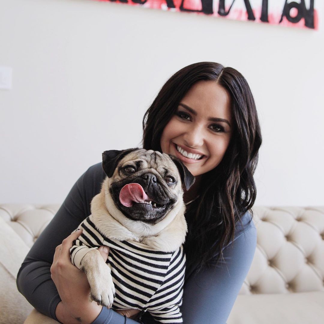 A cantora Demi Lovato com o pug Doug (Foto: Reprodução / Instagram)